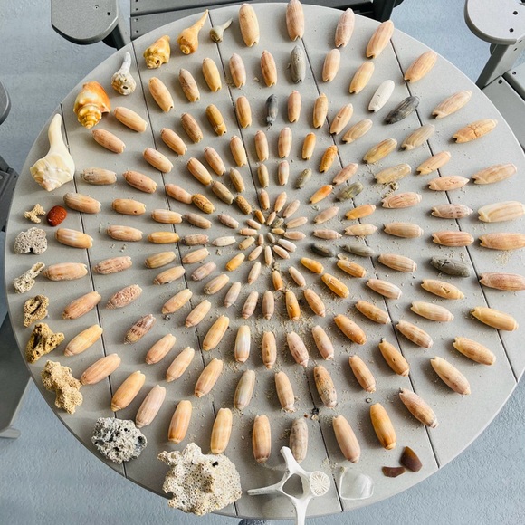 Meet your Posher, Eva - Picture 8 of 8